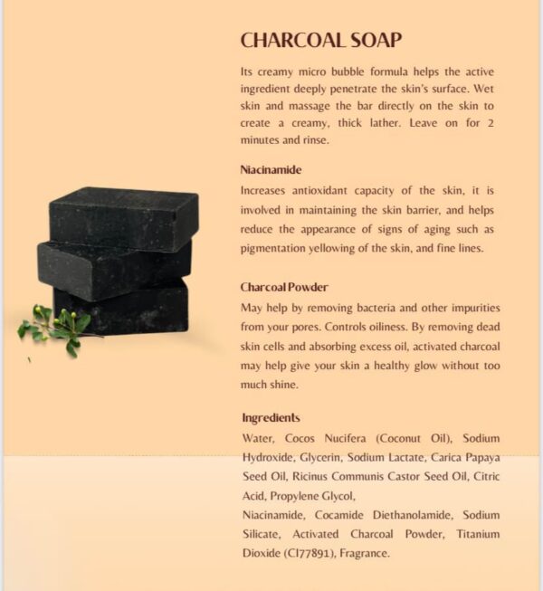 Charcoal Soap - Image 2