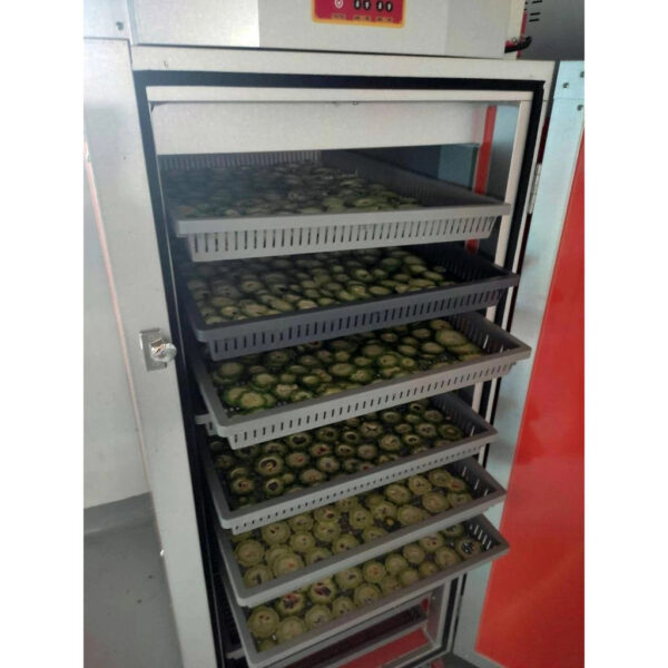 100 tea bags Ampalaya Tea pure natural locally grown and farm grown. - Image 7