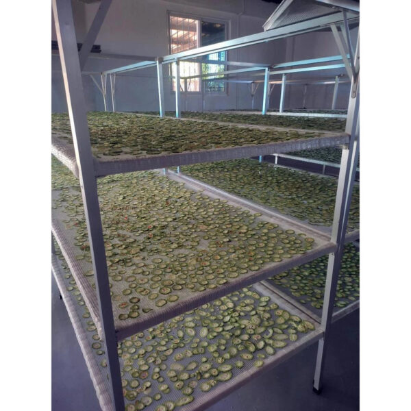 100 tea bags Ampalaya Tea pure natural locally grown and farm grown. - Image 6