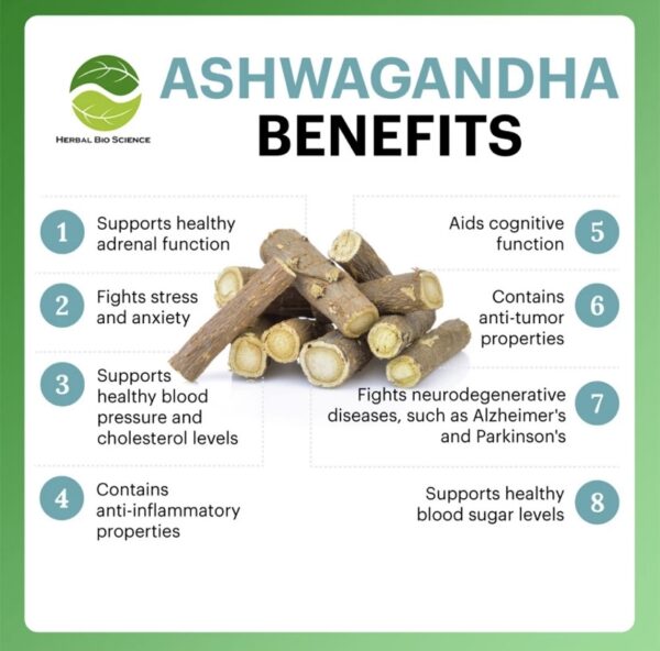 Ashwagandha 100 g. - Image 3