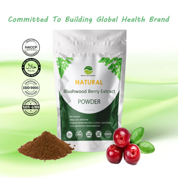 【Natural】100g. Blushwood Berry Extract/Anti aging/Antioxidant/Healthy food for diabetics/100-500g