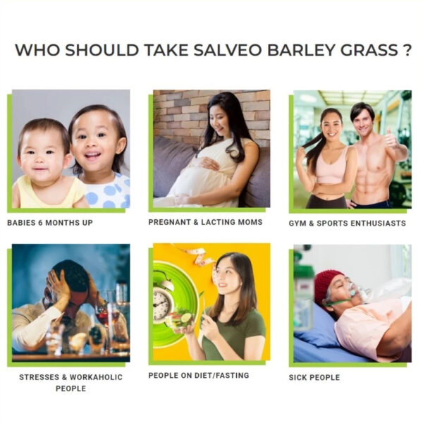 ORIGINAL SALVEO BARLEY GRASS SBG On The Go (OTG) 12 Sachets Pure and Organic - Image 3