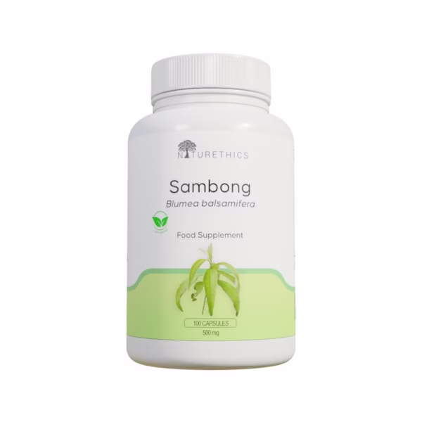 Naturethics Pure Sambong Capsules | 100% Natural Support for Kidney & Urinary Wellness - Image 2