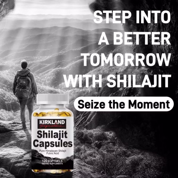 Shilajit Capsules Supplements 40% Fulvic Acid & Trace Minerals for Energy, Immunity - Image 9